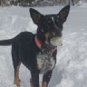 Meet your Posher, Tim